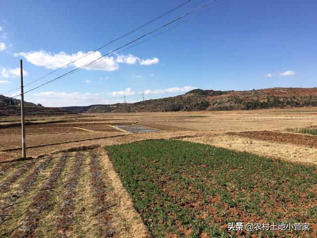 曲靖本地800亩龙虾养殖用地出租