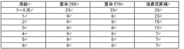 养鸡技术｜雏鸡生长的营养需求及合理的光照制度