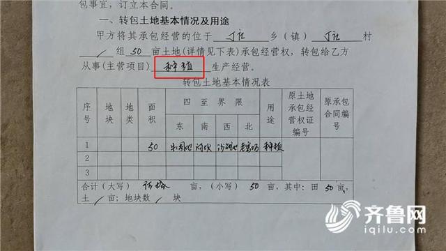 「问政山东回头看」有经验想养猪但没有地 养殖户遇养猪难 畜牧部门：无法提供帮助