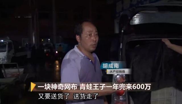 一块网布，2亩地，养什么能养出600万？