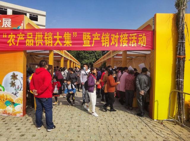 广西博白：庆丰收 话发展 推动乡村振兴