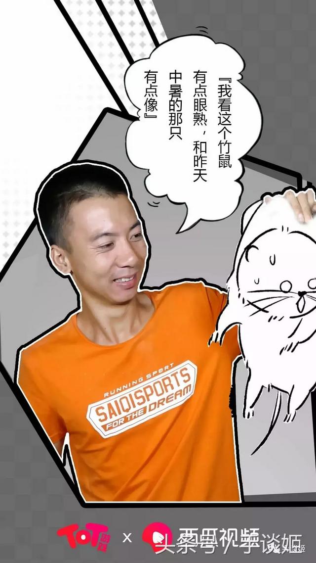 这只竹鼠好像中暑了？不如我们把它……