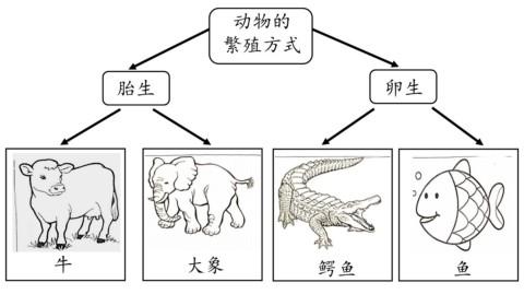 比亚洲鲤鱼还猛：跟手臂一样大的亚洲虎虾，美国人已经无计可施