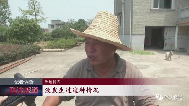 十分钟内八百多只鸭子相继死亡，南昌这家养殖场居然……