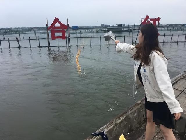 黄河口大闸蟹人工养殖技术，及影响大闸蟹生长发育的因素