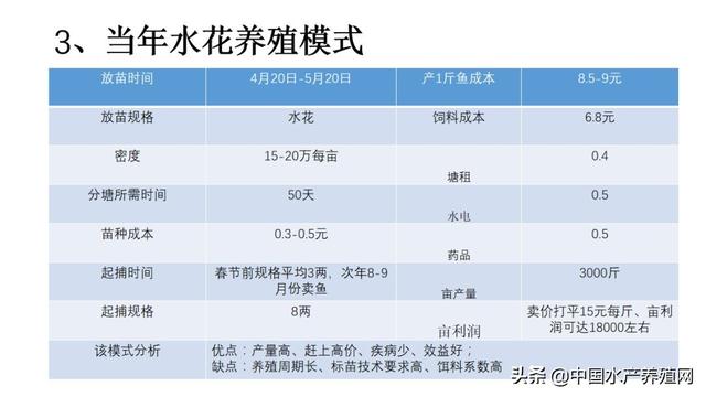 明年湖北加州鲈面积将达1.5万亩以上，澳华重点布局，剑指华中加州鲈鱼市场第一品牌