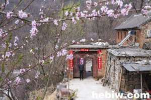 鹤壁狗养殖场(一人一狗一山村)