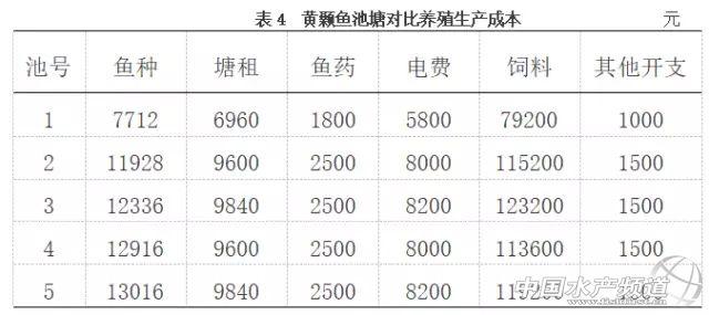 黄颡鱼池塘养殖分析，三个品种亩产值都过2万，选哪个？