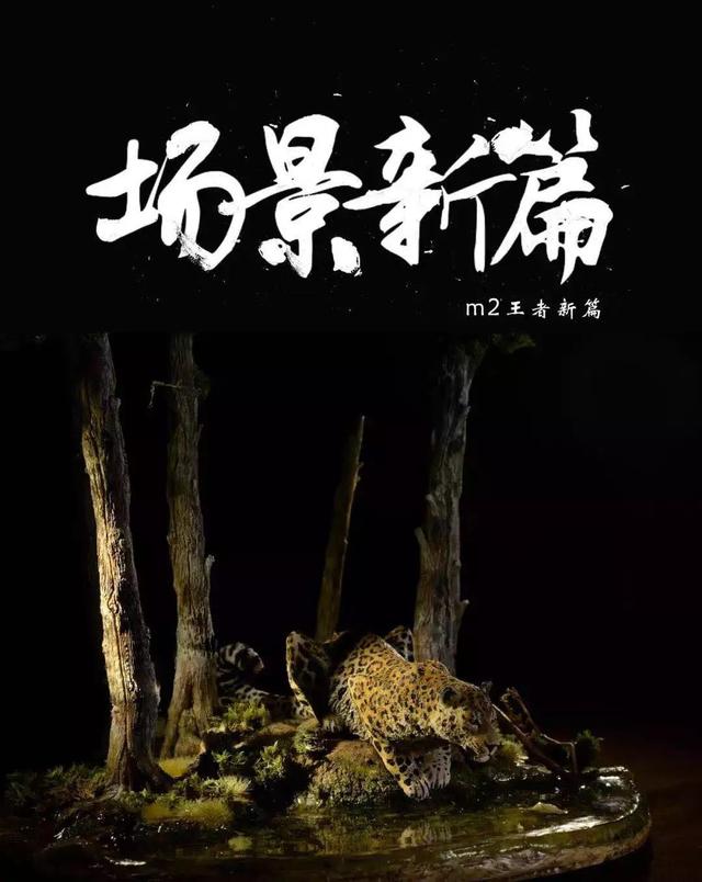 将野生猫科动物当宠物养？我劝你善良