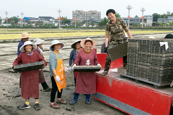 丰收的喜悦！都在这10幅图里了