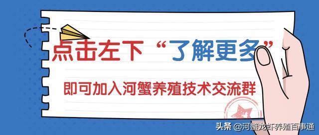 高温梅雨季节河蟹出现死亡？养殖户如何应对？实战案例告诉你