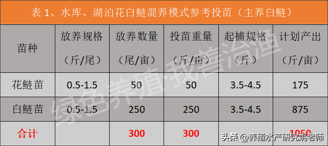 亩产达到700斤？池塘、水库、湖泊原来是这样养殖花白鲢的