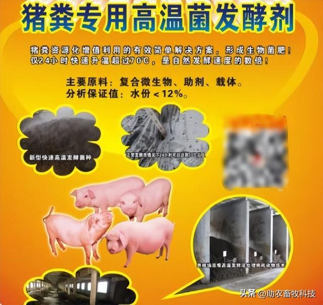 兴业县这个猪场采用微生物技术解决了环保问题并形成生态循环养殖