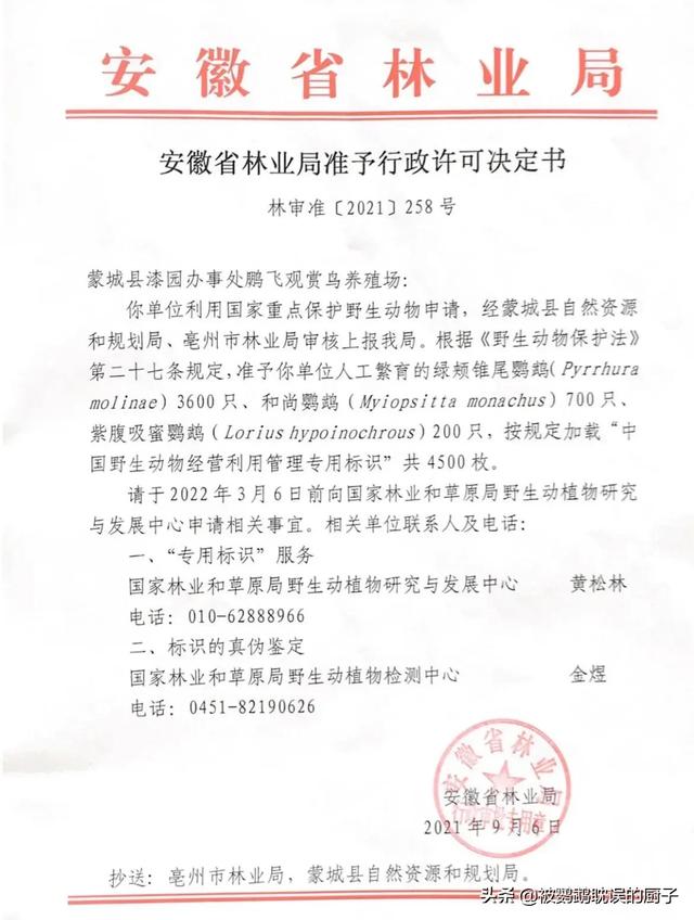 不仅仅河南标识鹦鹉可以养，安徽同样可以养，其他省份也可以申请