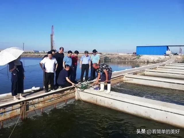 老板投资300多万建的水产种苗养殖基地，你觉得多久能赚回来？