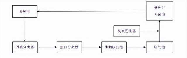 工厂化循环水模式下，养殖密度对红鳍东方鲀幼鱼的生长有何影响？