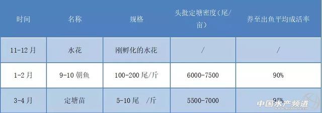 加州鲈头批鱼“零冰鲜”养殖的四大秘诀