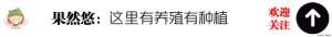 驴肉养殖(天上龙肉地下驴肉，让我教你如何让驴在更短的时间长更多的肉)