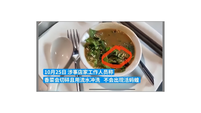 顾客餐馆竟吃出活蚂蝗，店主称不可思议，应当如何处理