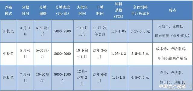 加州鲈头批鱼“零冰鲜”养殖的四大秘诀