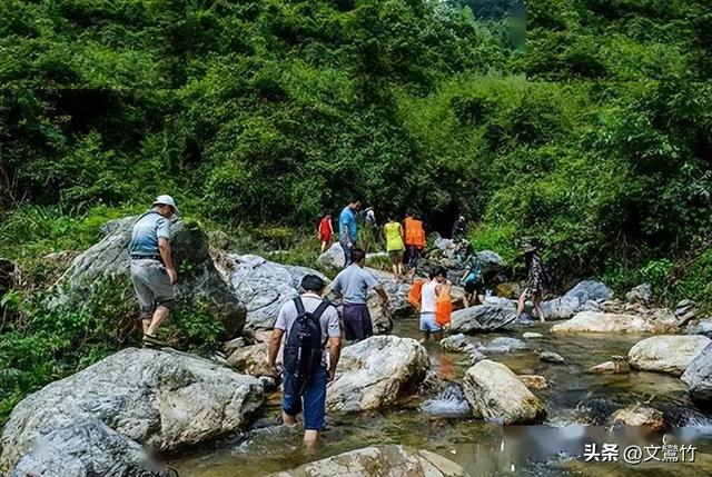 张家界甲鱼大王山洞养鲵，一斤从卖二千元到几十元，他经历了什么