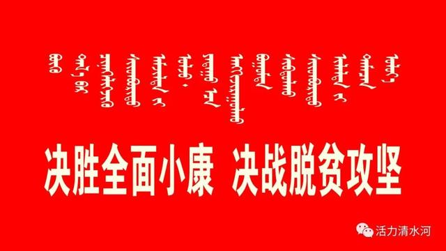 【内蒙古日报报道】清水河县韭菜庄乡：金猪“拱”开致富门 银帚“扫”出幸福路