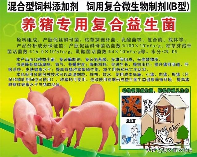 兴业县这个猪场采用微生物技术解决了环保问题并形成生态循环养殖