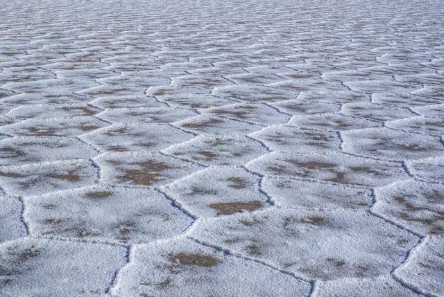 这是封锁日本水产的底气！新疆3000亩盐碱地成为海水养殖基地