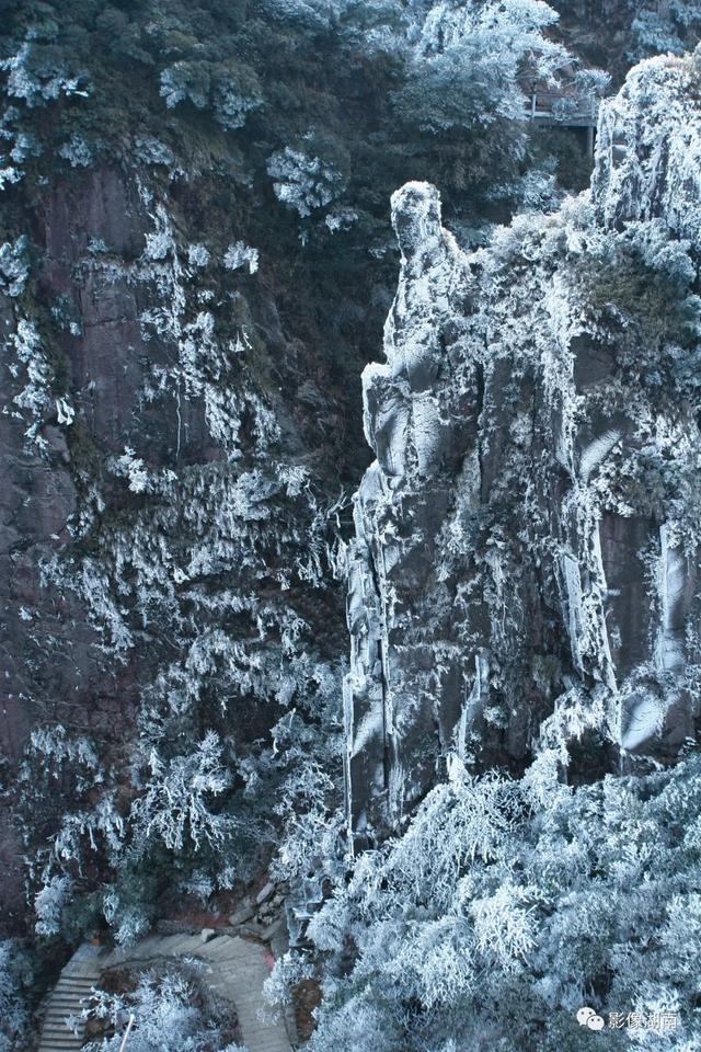 延期截稿！“湘粤福地·南岭之巅”中国莽山摄影大赛