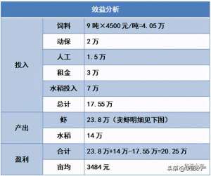 马虾养殖技术(2020年小龙虾养殖：按部就班也有钱赚，看看他们是怎么做的？)