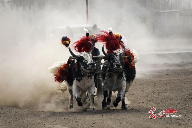 天上阿里 神奇光影