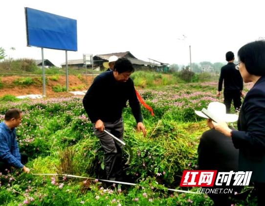 桃源：肥了土壤 美了乡村