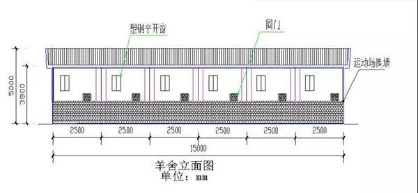 养羊需要多大场地？以100只羊计算和设计附图