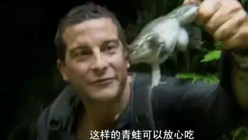 你的旅行青蛙在锅里呢！这是又一个差点被中国吃灭绝的入侵物种