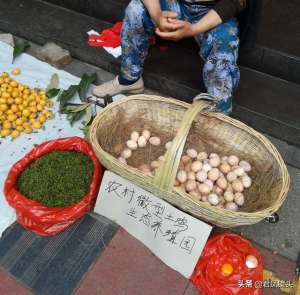 养殖场广告牌图片(湖北宜昌：商家卖土鸡蛋打出农村生态养殖园招牌 土蜂蜜难辨真假)