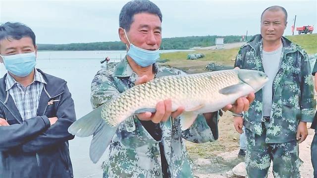 经济视点丨扩面增速接力 盘活龙江冷水鱼产业