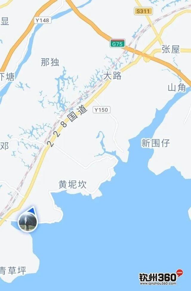 藏在钦州康熙岭海堤的“秘密”栈道，还有一群“白色精灵”