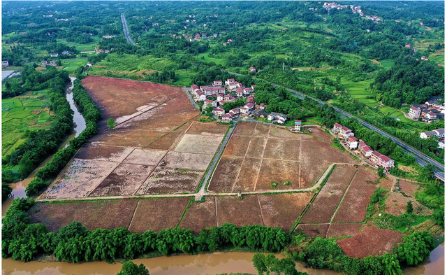 撂荒土地或有救了！农业出新规？耕地可发展林果业或建养殖场？