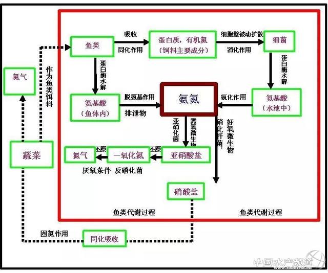 水产养殖新模式—“物联网+”，养鱼也能轻松体面