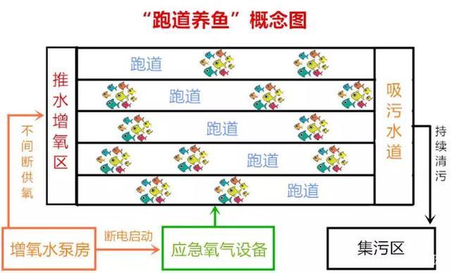 养鱼新模式，农民利用“跑道养鱼”，值得推广