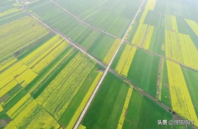 长江中的棉花岛——棉船洲，位于江西九江彭泽县，岛上有4万人