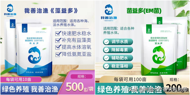 亩产达到700斤？池塘、水库、湖泊原来是这样养殖花白鲢的