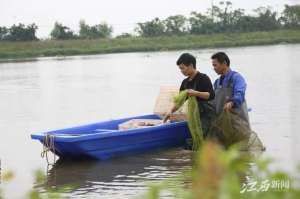 鄱阳湖小龙虾养殖基地(余干：小龙虾丰收)