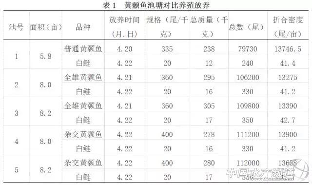 黄颡鱼池塘养殖分析，三个品种亩产值都过2万，选哪个？