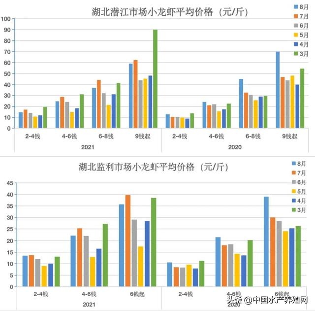 小龙虾两年涨15%！大虾需求不断扩大，把握时间收益最大化