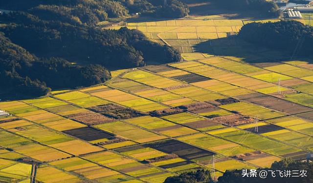 中央敲定，“农田改造”，2023年统一按照新规处理，村村都要落地