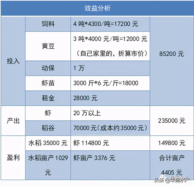 2020年小龙虾养殖：按部就班也有钱赚，看看他们是怎么做的？