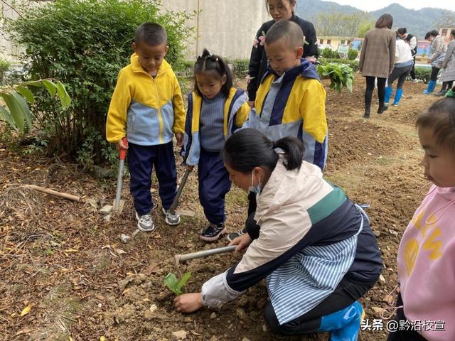 快乐种植，收获幸福｜独山县影山幼儿园开展种植活动