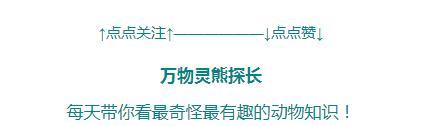 养虾池脏水堆满泡沫，还用药水泡虾？究竟是谁在抹黑中国养殖虾？