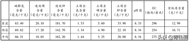 山东桃树智慧种植综合效益分析